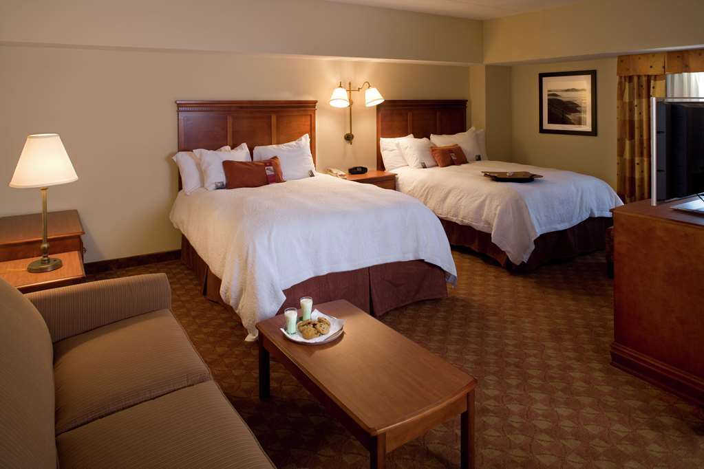 Hampton Inn & Suites Knoxville-Downtown חדר תמונה